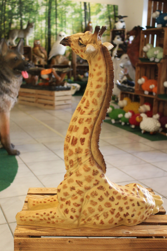 Giraffe, liegend